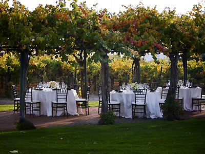 Concannon-Vineyard-wedding-2